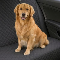 Araç İçi Koruma